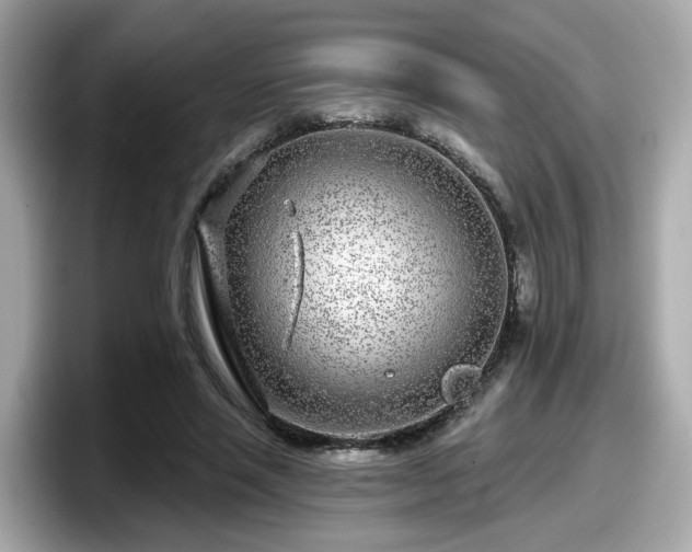 X0000098090637200804111003
