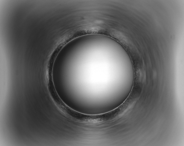 X0000098090638200804111003
