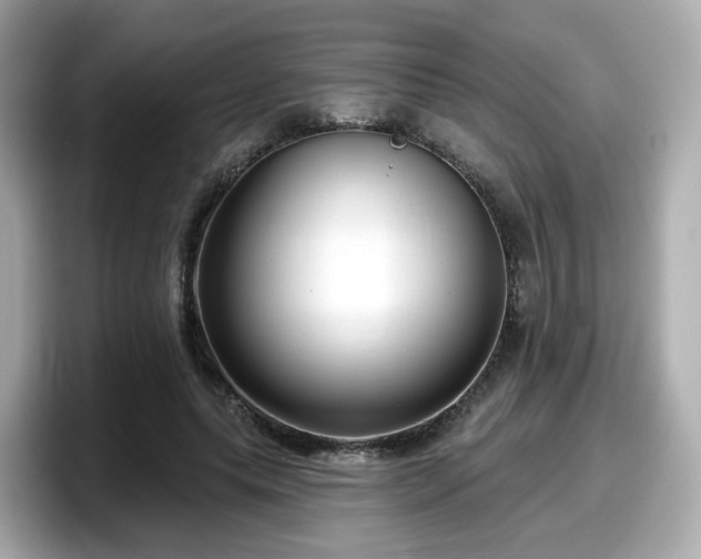 X0000098090639200804111003