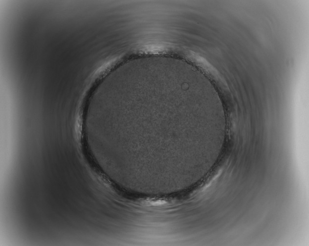 X0000098090640200804111003