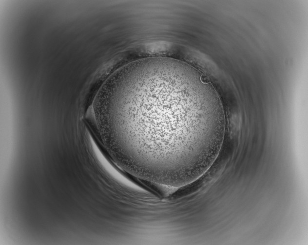 X0000098090644200804111003