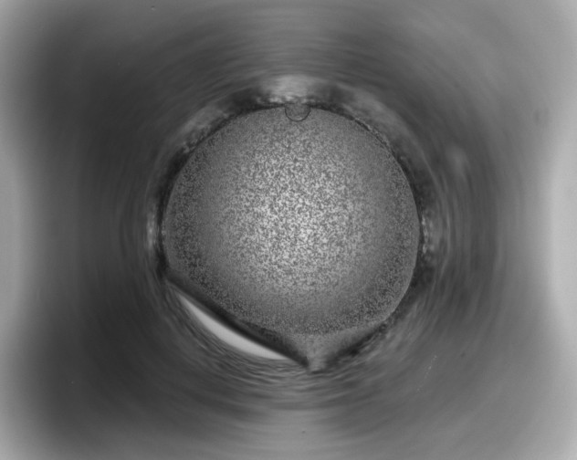 X0000098090648200804111003