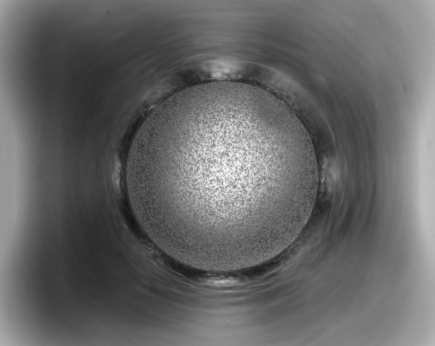 X0000098090650200804111003
