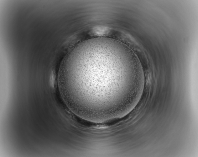 X0000098090651200804111003