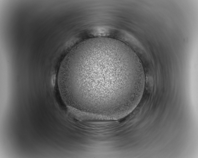 X0000098090652200804111003