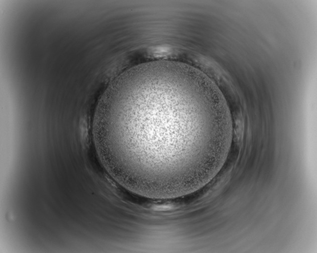 X0000098090653200804111003