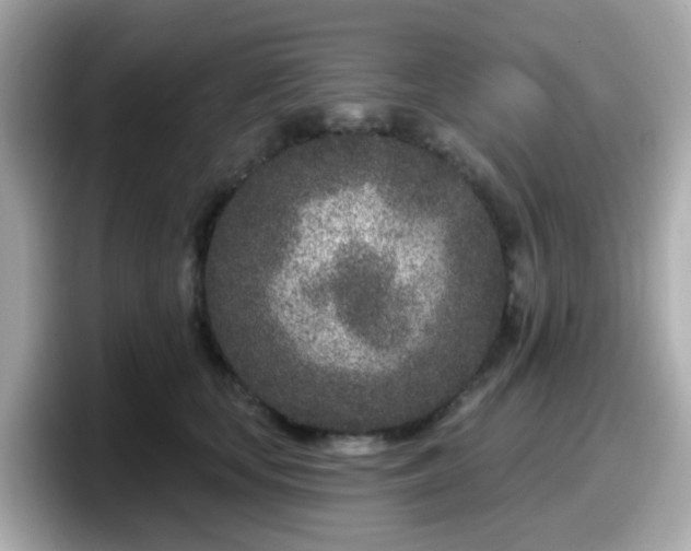 X0000098090659200804111004