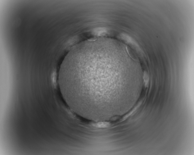 X0000098090670200804111004