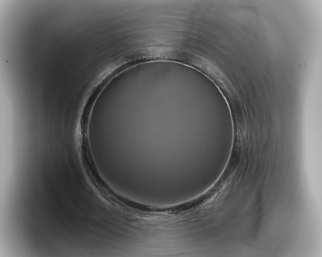 X0000098090674200804111003