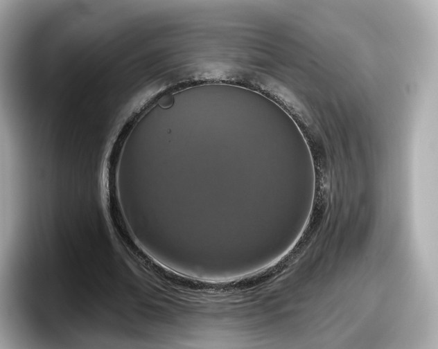 X0000098090678200804111003