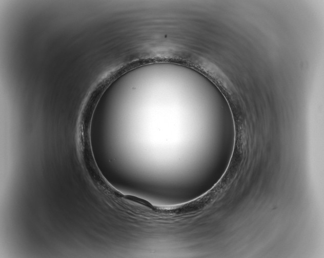 X0000098090680200804111003