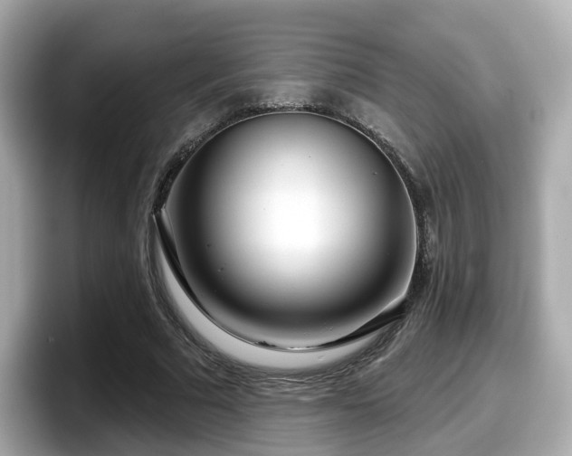 X0000098090681200804111003