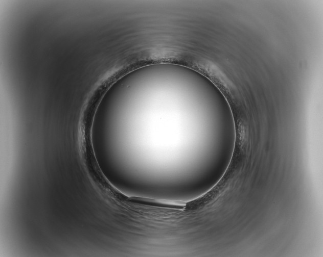 X0000098090684200804111003