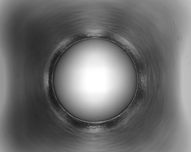 X0000098090686200804111003