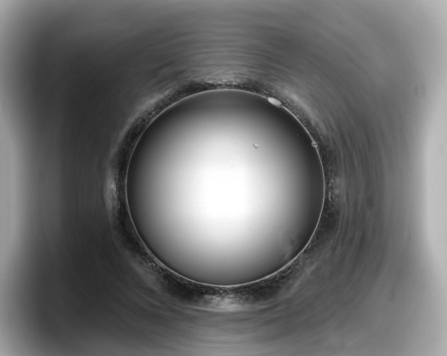 X0000098090688200804111003