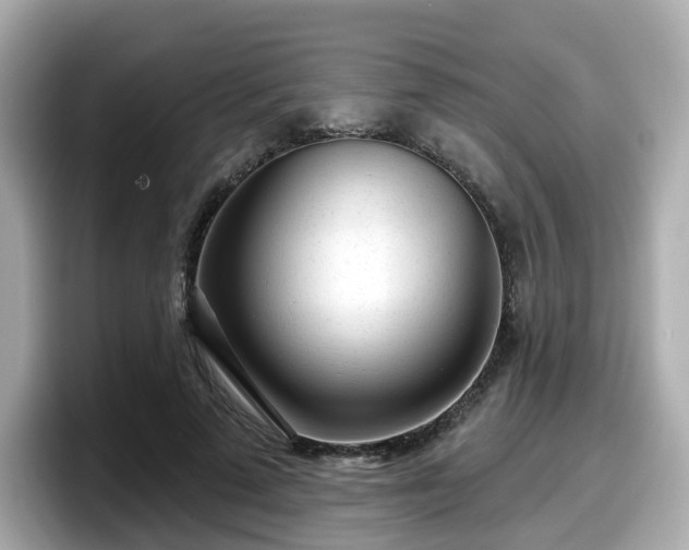 X0000098090689200804111003