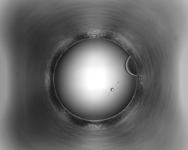 X0000098090690200804111003