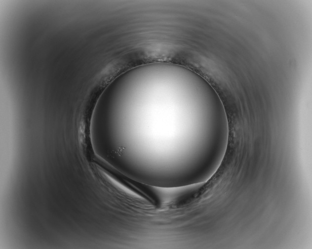 X0000098090693200804111003
