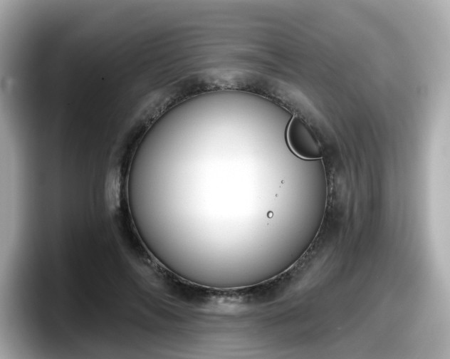 X0000098090694200804111003