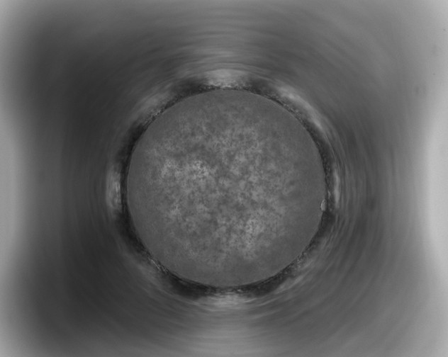 X0000098090696200804111003