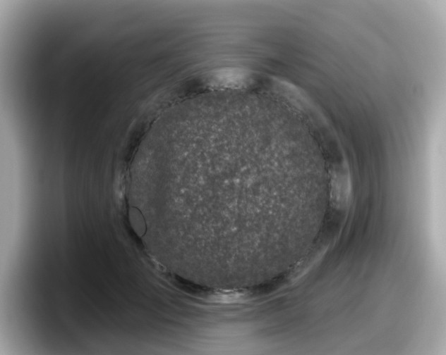 X0000098090701200804111003