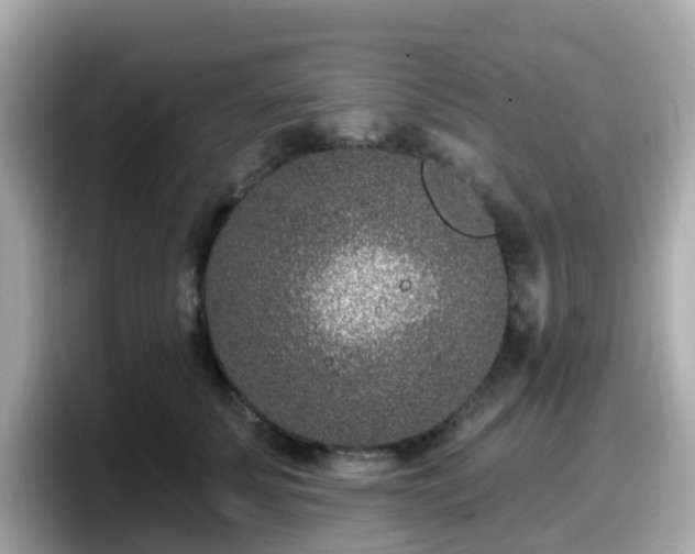 X0000098090707200804111003