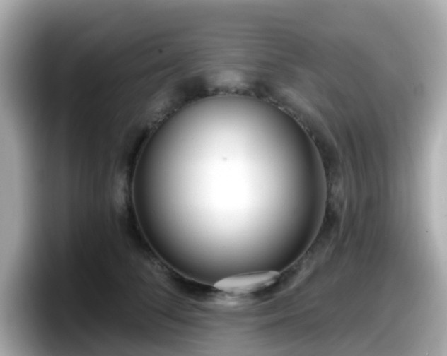 X0000098090708200804111003