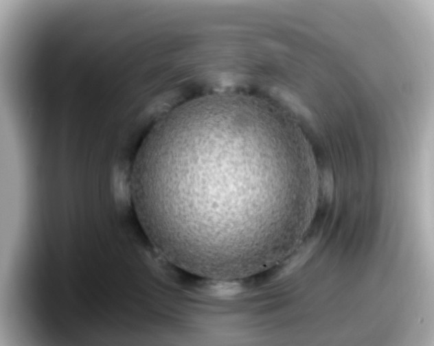 X0000098090719200804111003