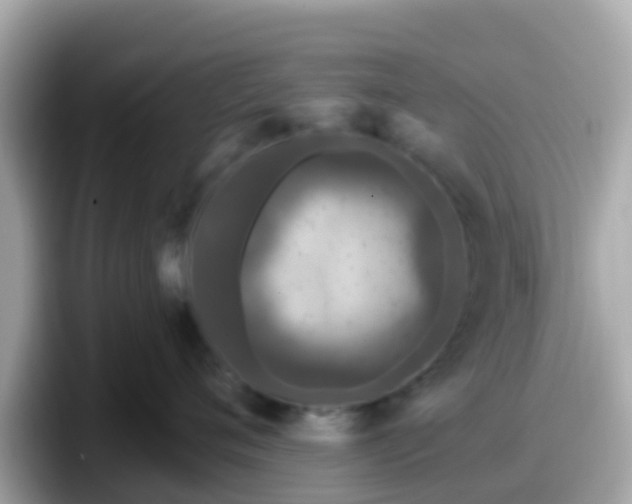 X0000098090720200804111002