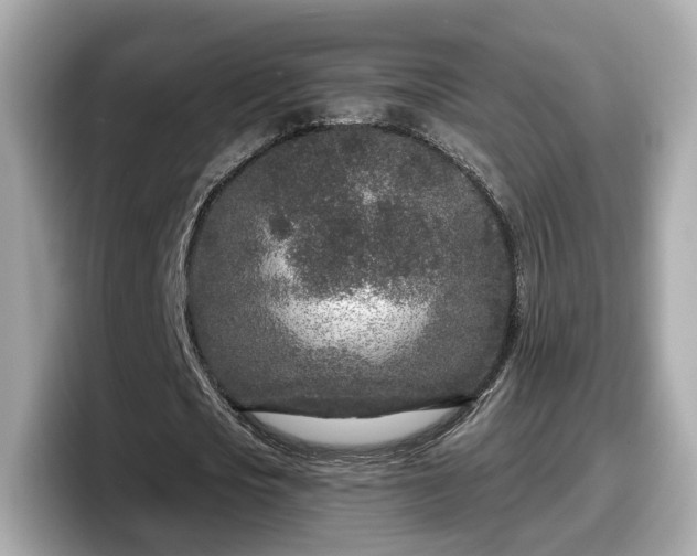 X0000098090721200804111002
