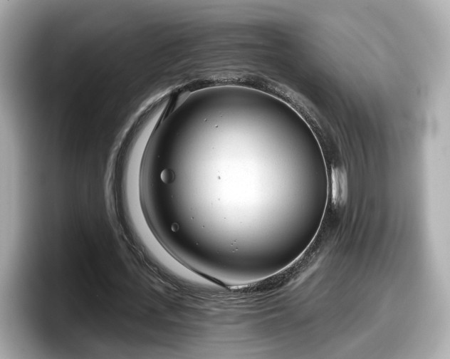 X0000098090723200804111002