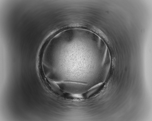 X0000098090724200804111002