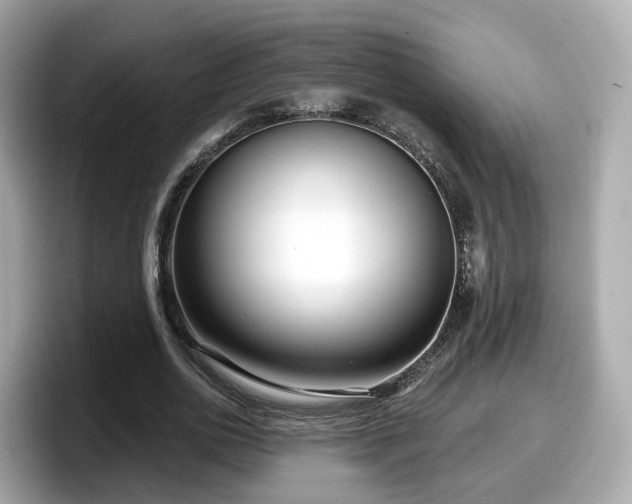 X0000098090726200804111002