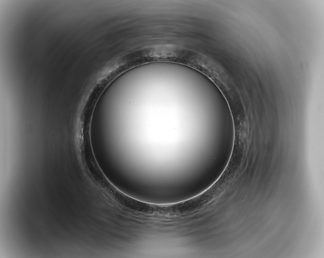 X0000098090727200804111002
