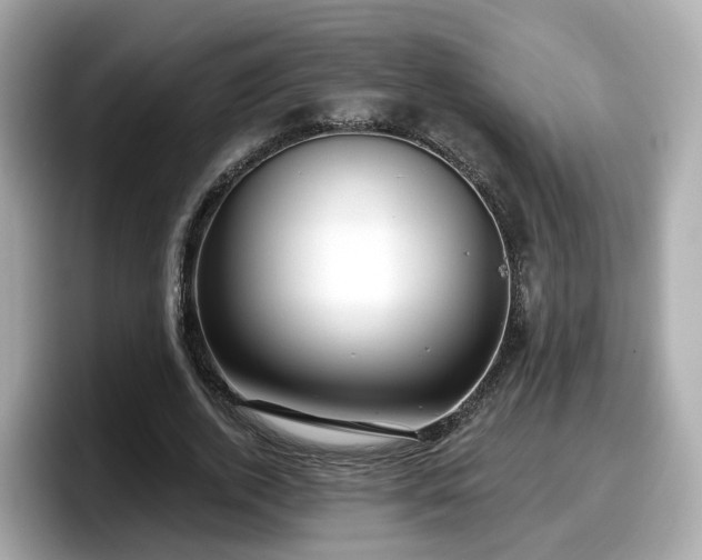 X0000098090728200804111002
