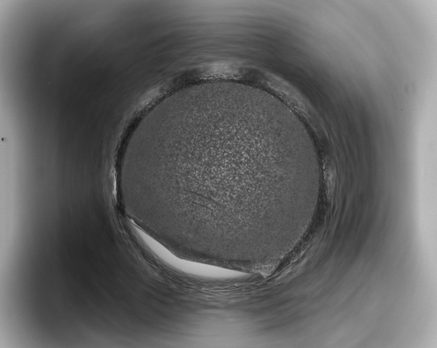 X0000098090729200804111002