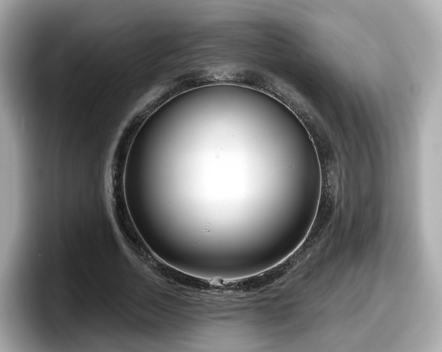 X0000098090730200804111002