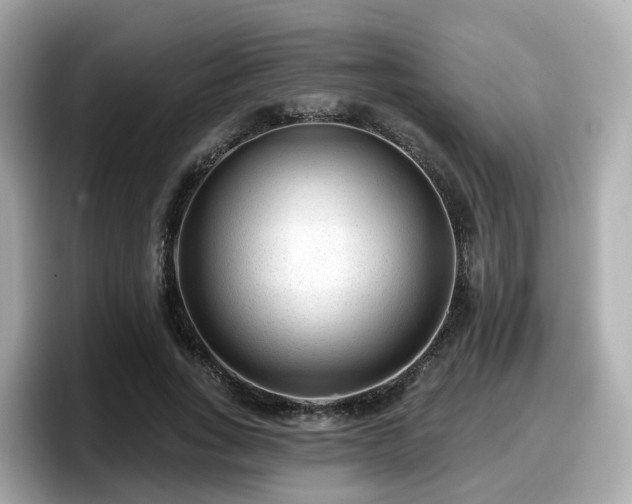 X0000098090735200804111002
