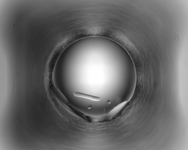 X0000098090736200804111002