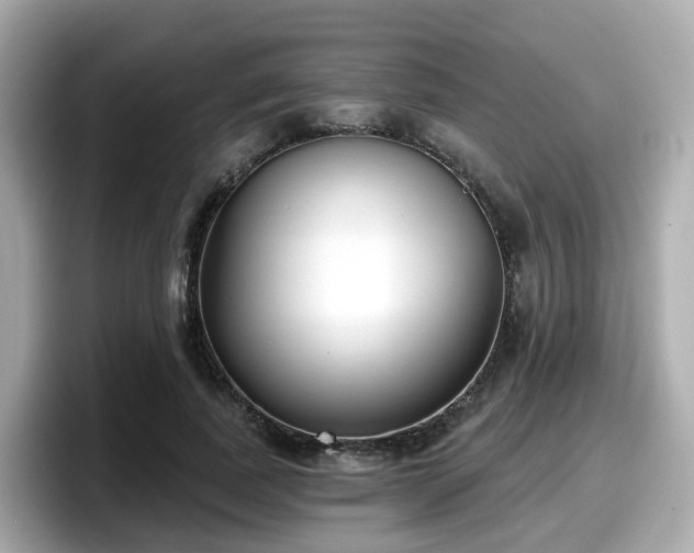 X0000098090739200804111002