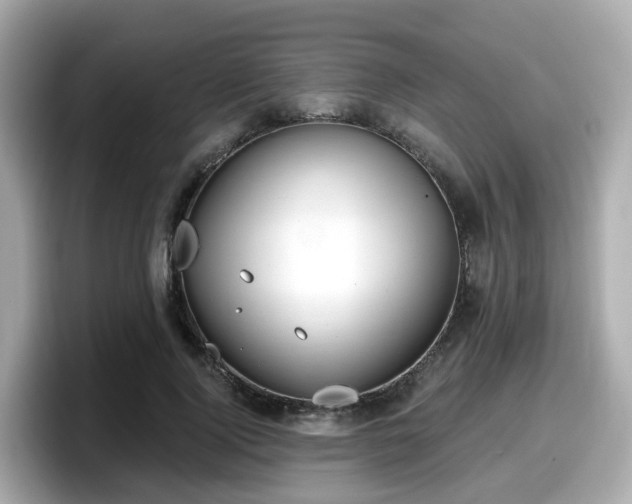 X0000098090740200804111002