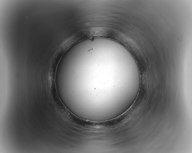 X0000098090741200804111002