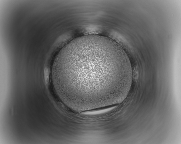 X0000098090742200804111002