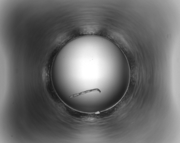 X0000098090743200804111002