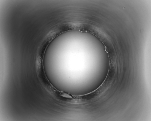 X0000098090744200804111002