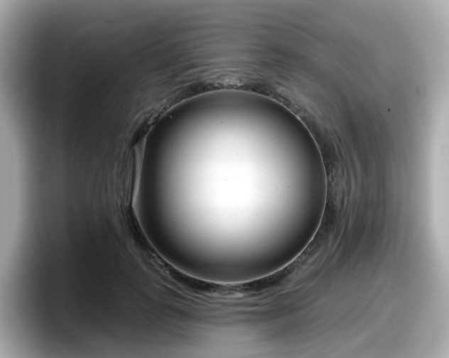 X0000098090747200804111002