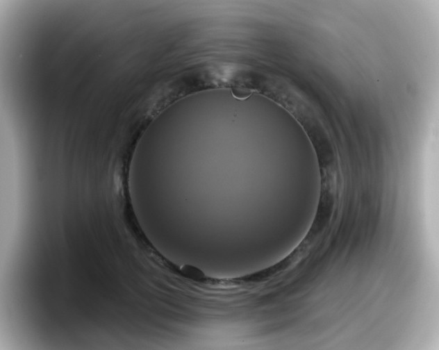 X0000098090754200804111002