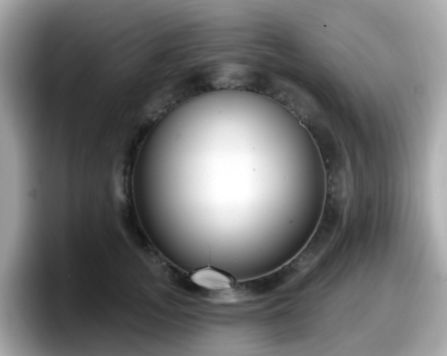 X0000098090755200804111002