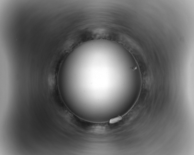 X0000098090756200804111002