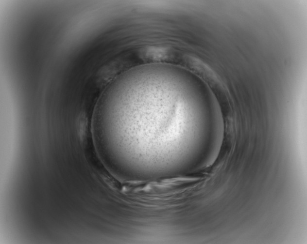 X0000098090760200804111002